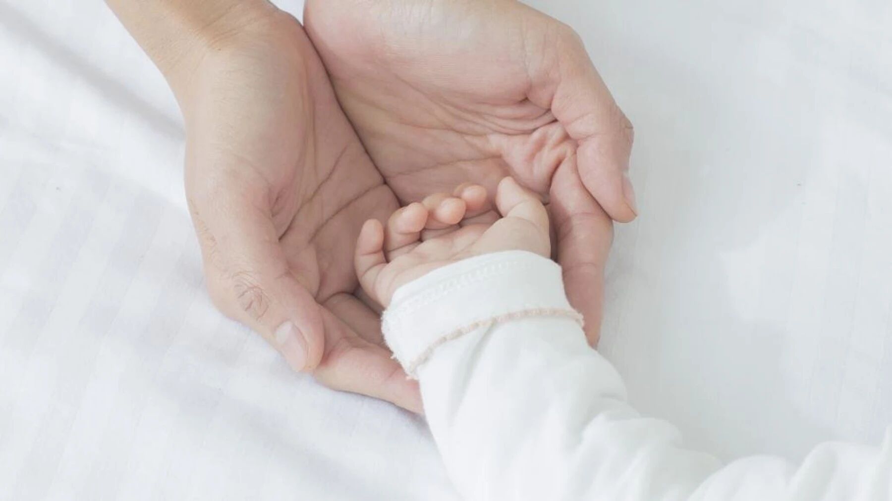 1764233626415423.jpg 2.jpg