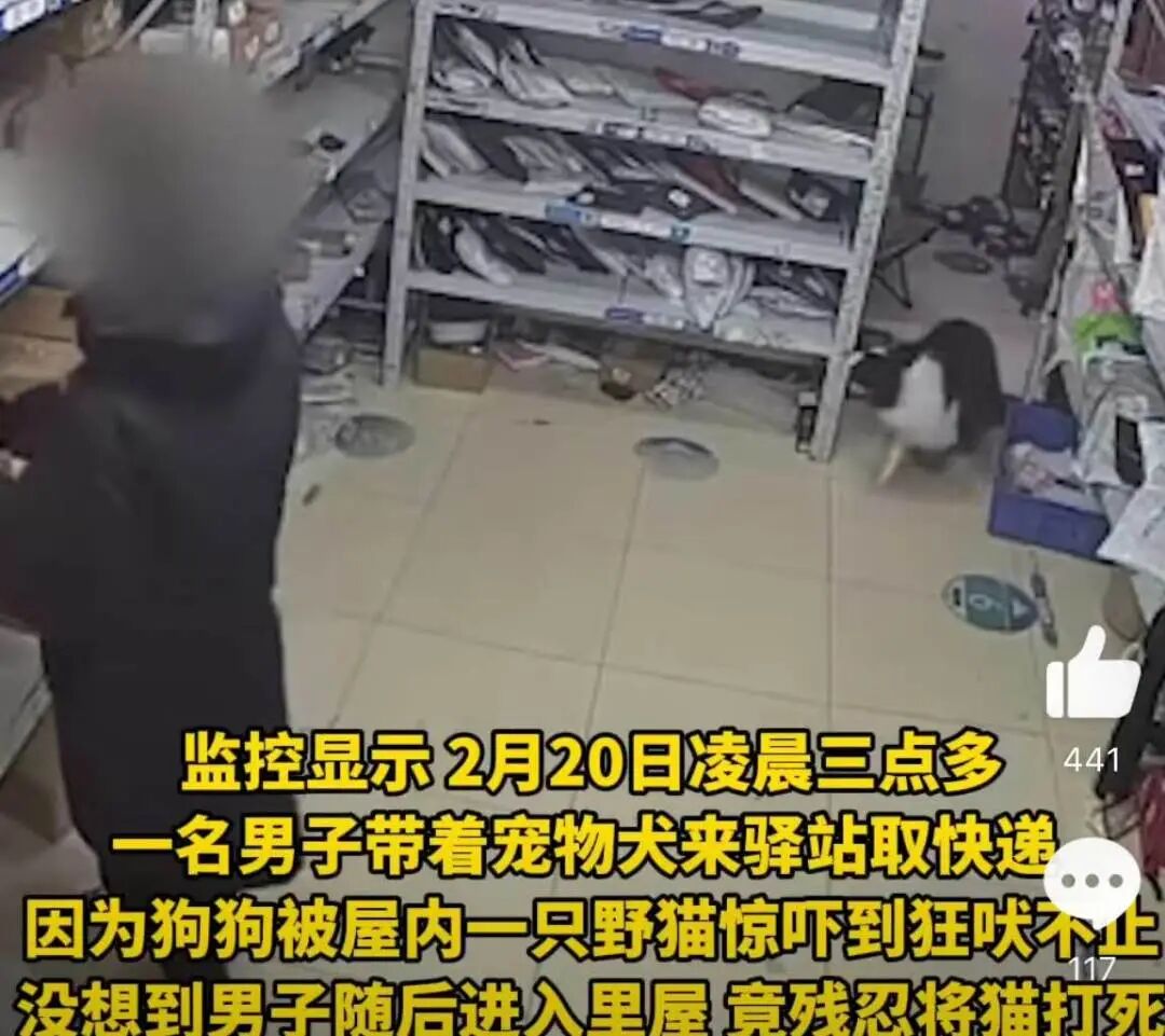 1764234143264423.jpg 2.jpg