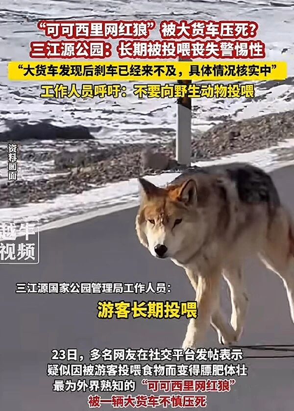 1764726595680682.jpg 1.jpg